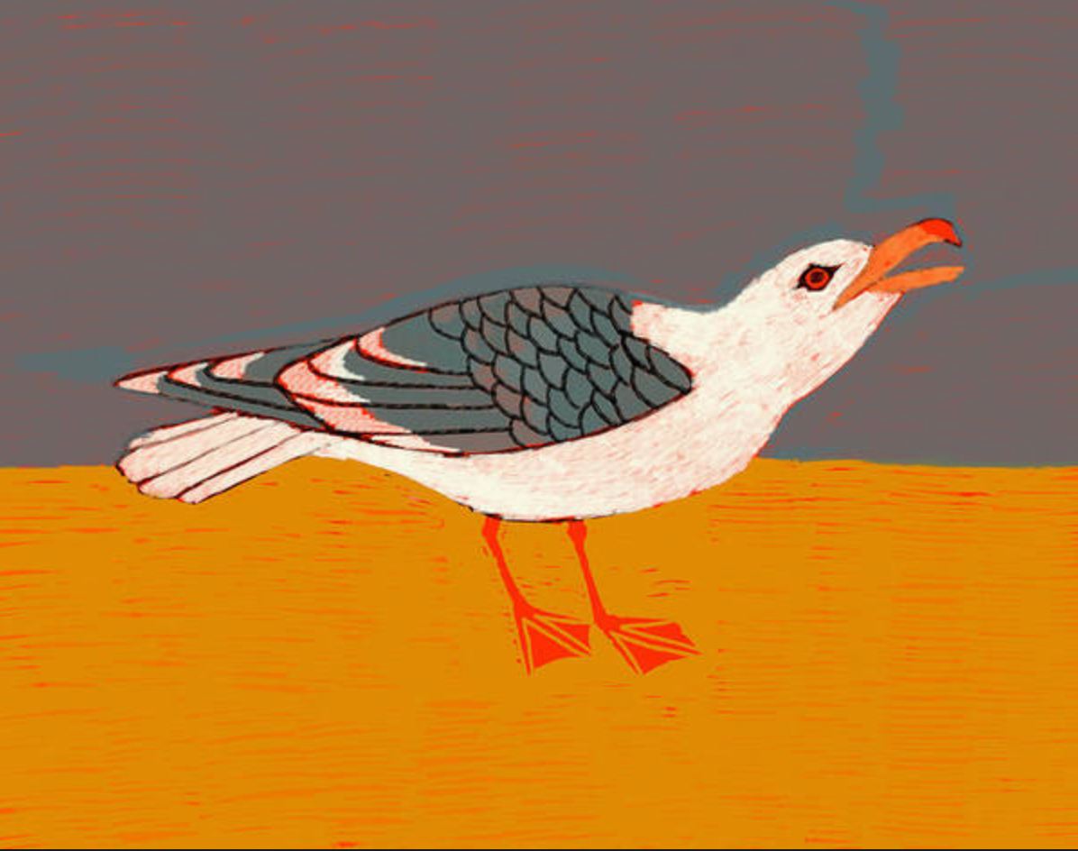 Seagull